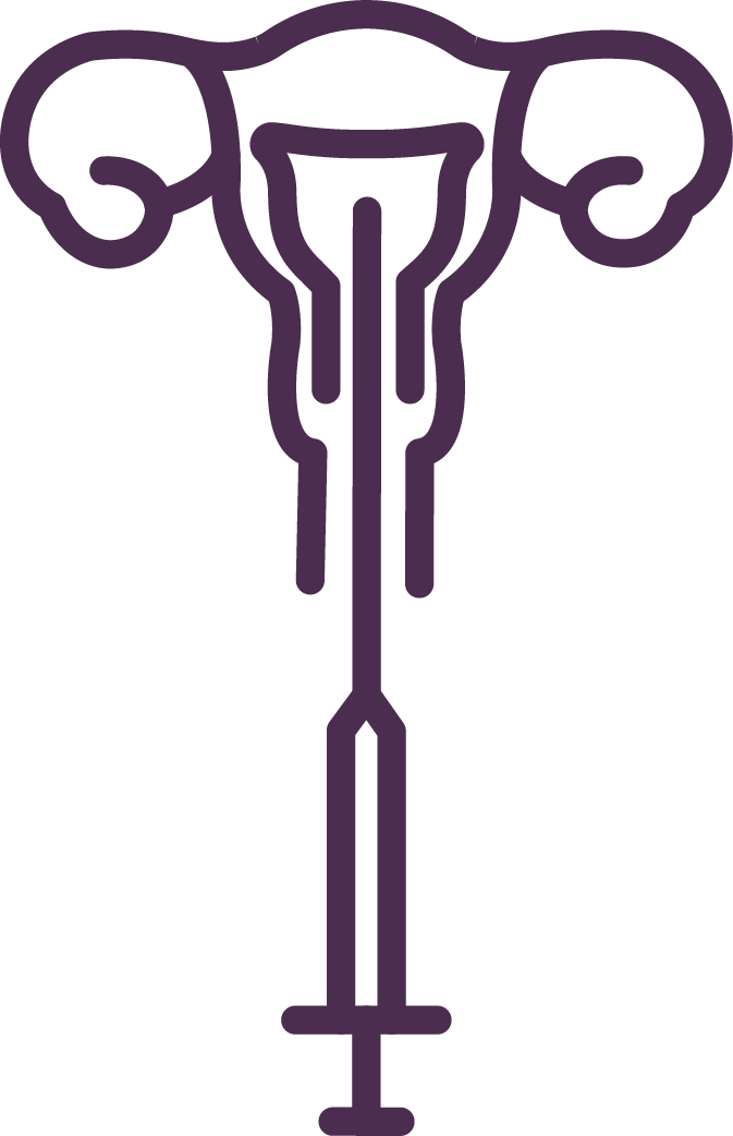 Uterine Insemination Icon